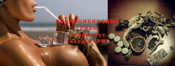 2c-b Аркадак